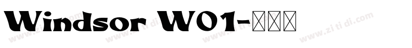 Windsor W01字体转换